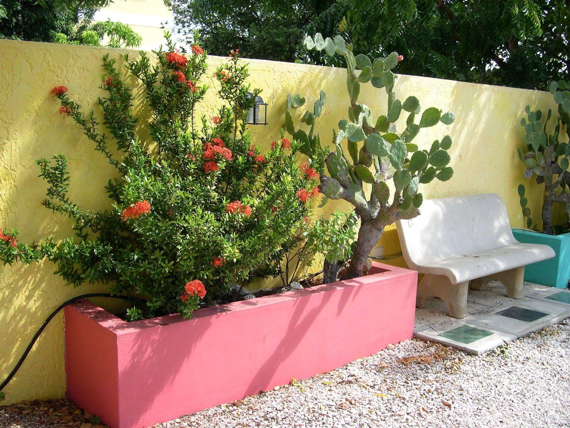 Happy Holiday Homes Kralendijk Exterior foto